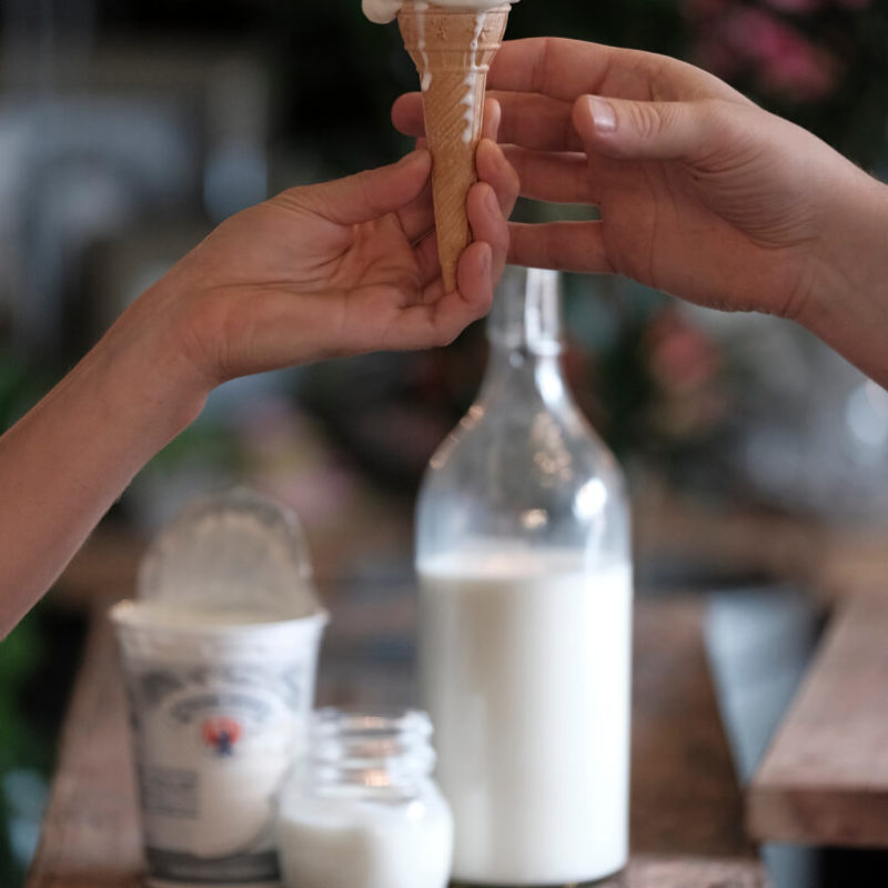yogurt2